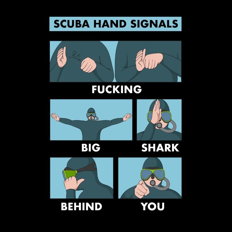 Plongée Paumer plongeur