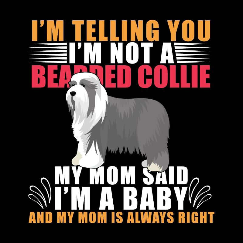 Bearded Collie Drôle de chiens