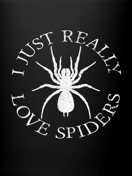 Spiders