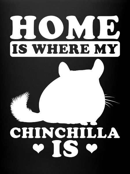 Chinchilla