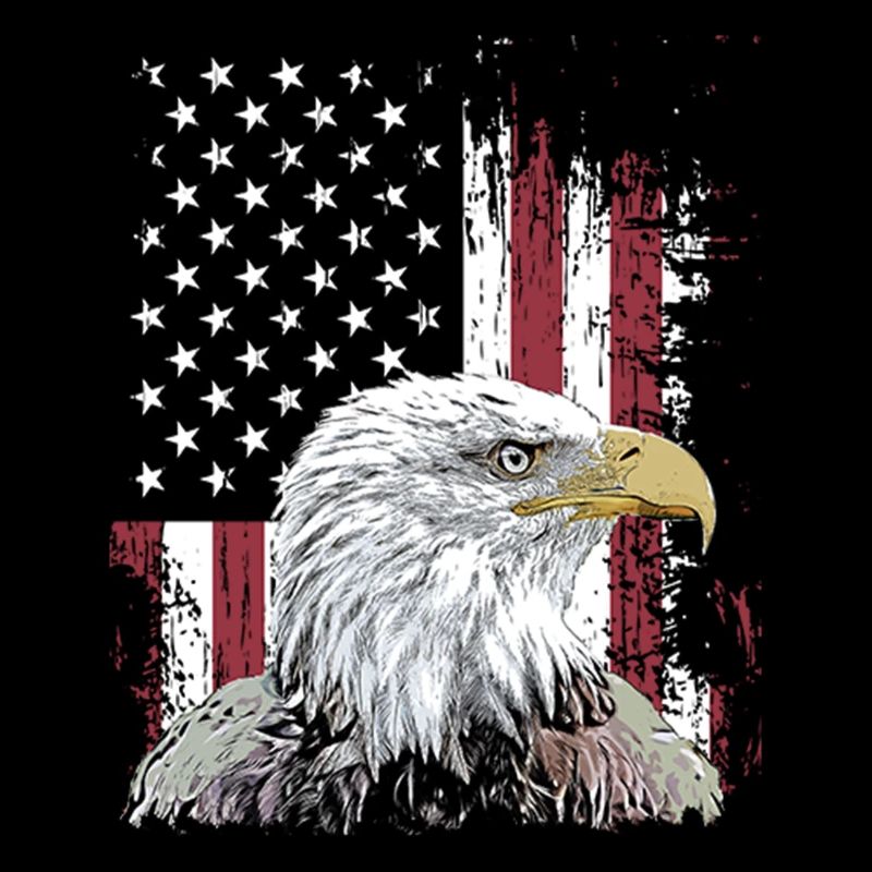 Independence Eagle American Flag Eagle