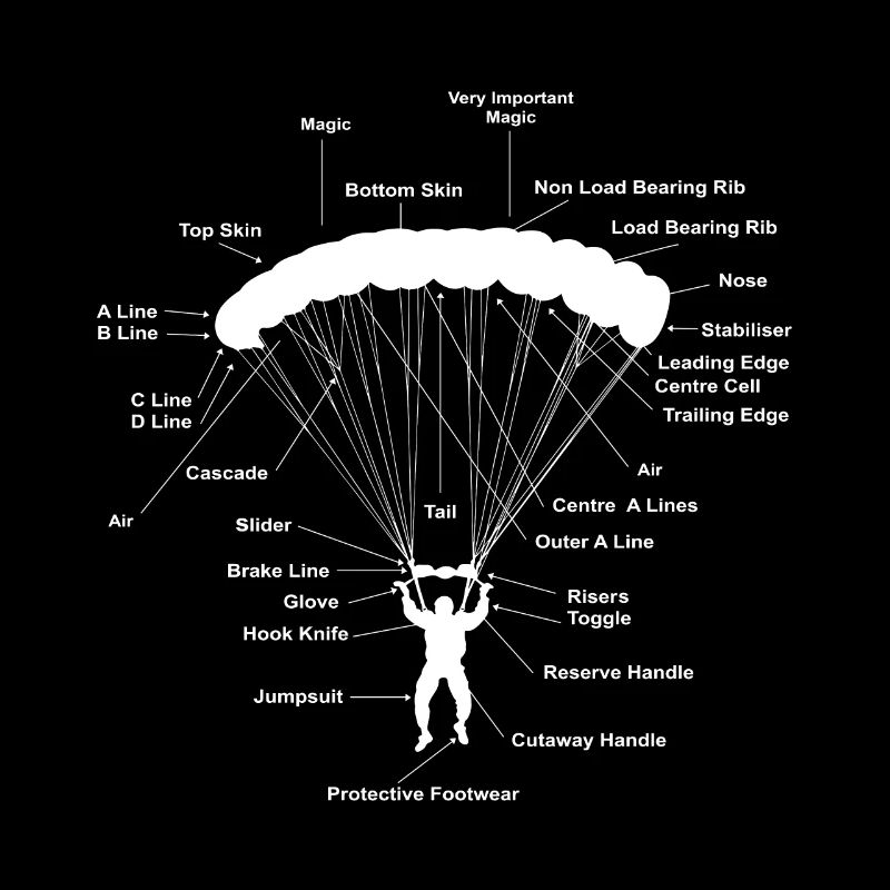Paragleiter Anatomie Magic Skydiving Gleitschirm