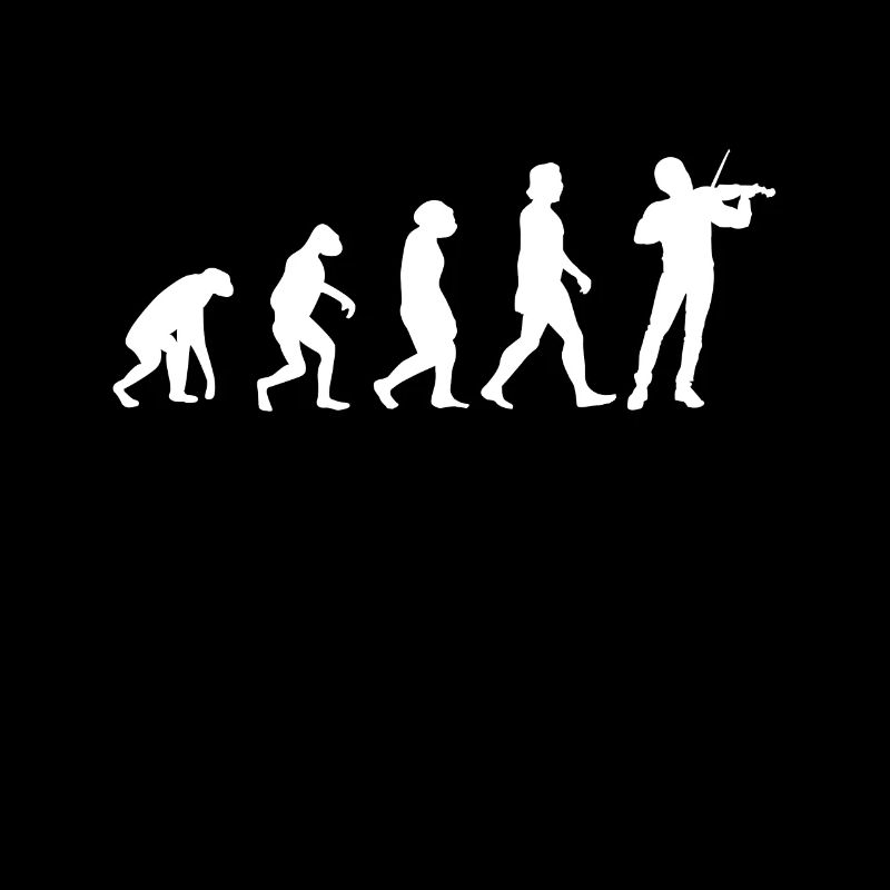 Violinist Evolution Violin Violinist Violin