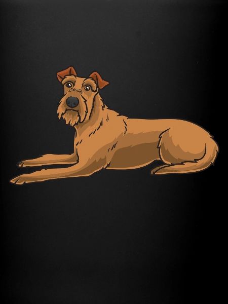 Irish Terrier