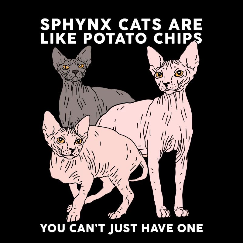 Sphynx Katzen Sphinx | Katzenbesitzer Geschenk