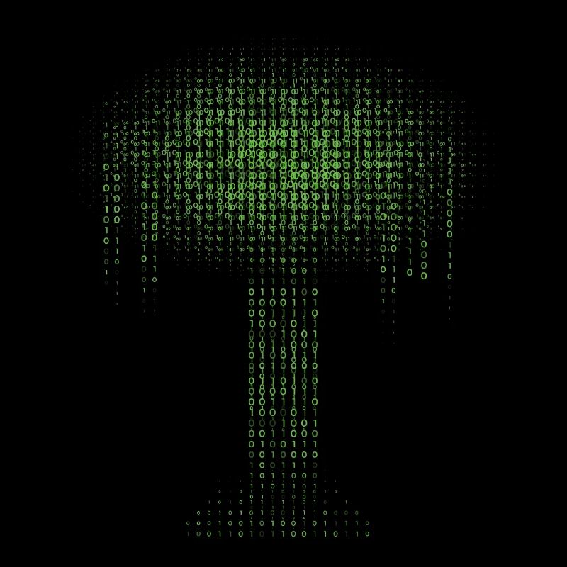 Binary Tree Encoding Computer Programmer
