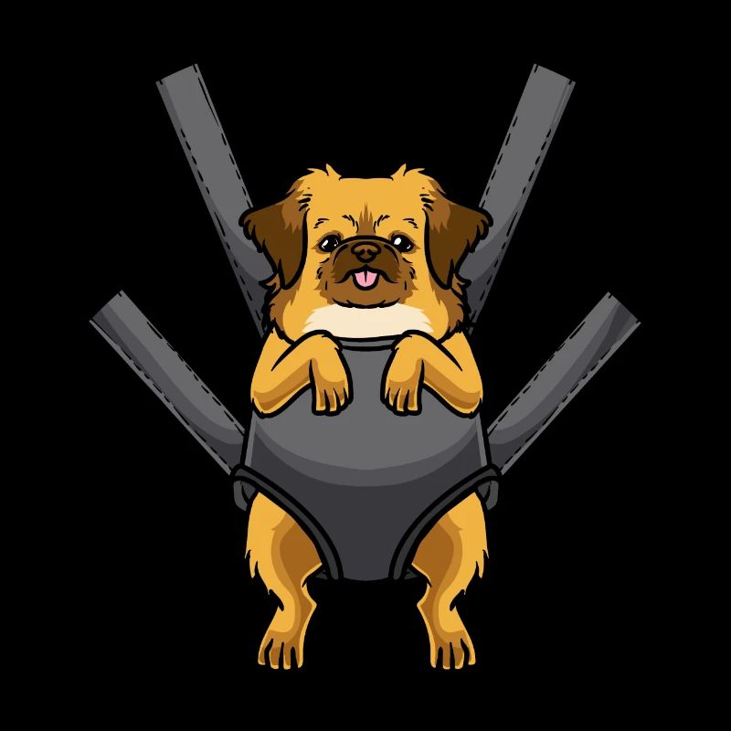 Tibetan Spaniel Dog Tibetan Spaniel