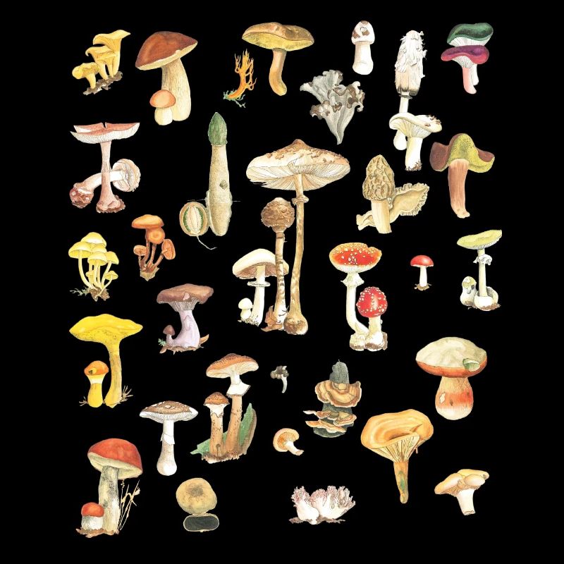 Mushroom CottageCore Nature Design