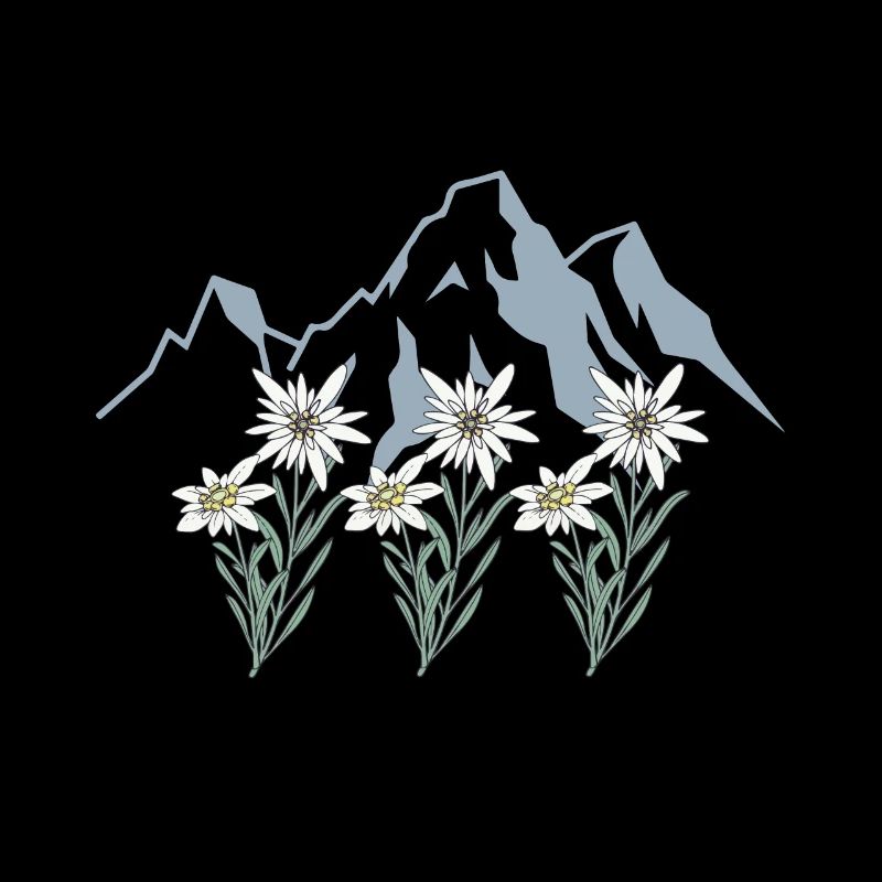 Edelweiß Alpen Tirol Schweizer Berg Blume