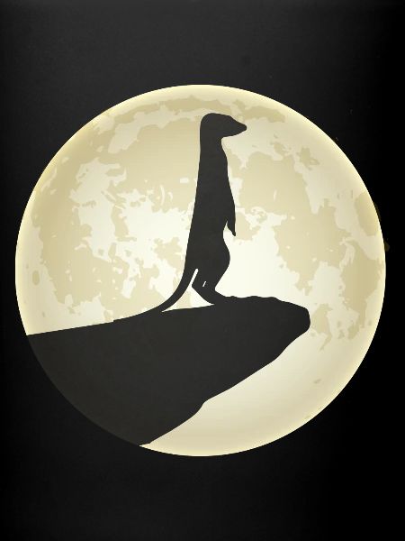Suricate Lune