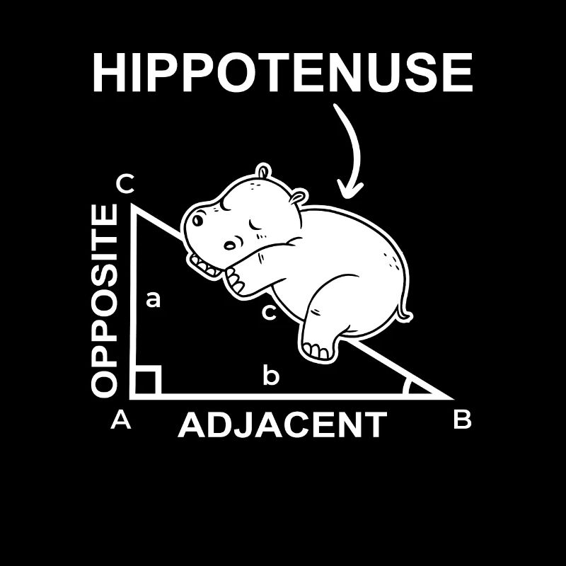 Hippotenuse Math Hippo Hippo Funny Pun