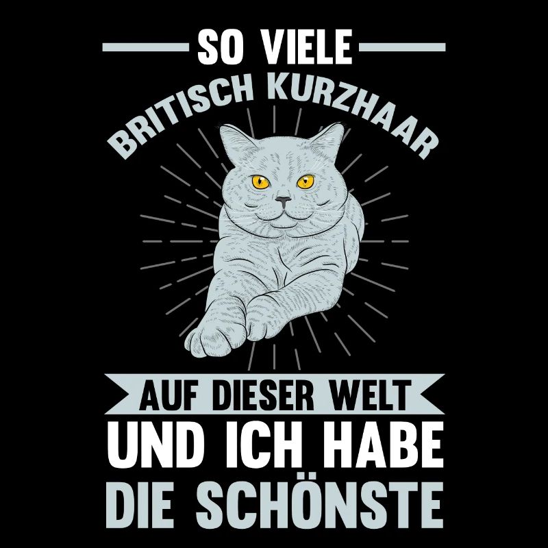 Katzen Britisch Kurzhaar