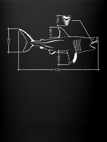 Megalodon Faits Requin Requin