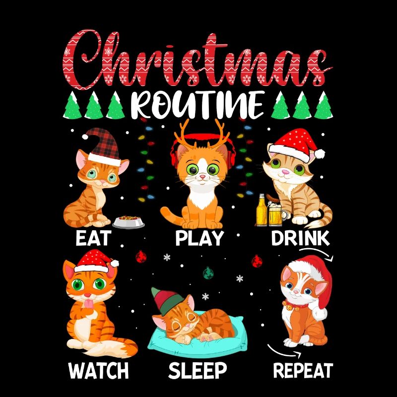 Christmas Routine Katze