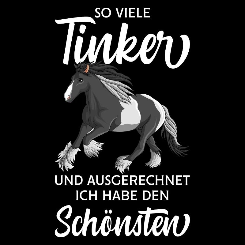 Tinker Pferd Reiterin Damen Pferde Mädchen