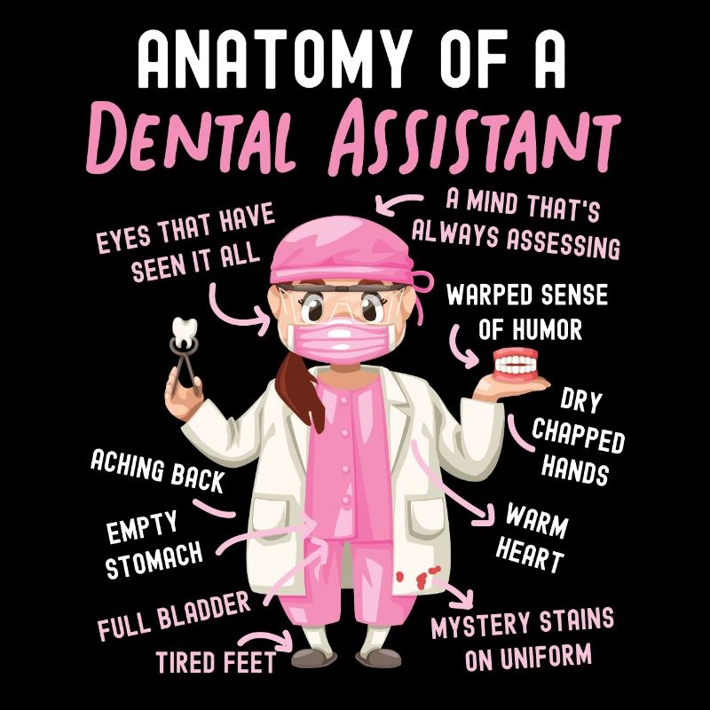 Assistant dentaire Anatomie Anatomie