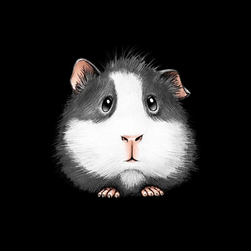 Cochon d’Inde doux Angora Coronet Rosette