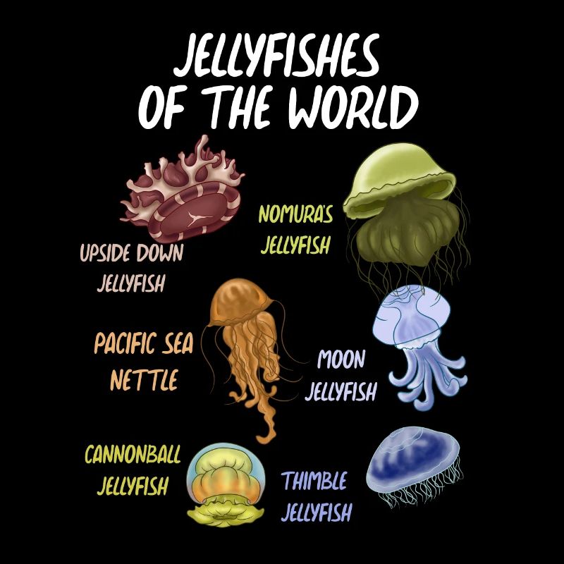 Jellyfish