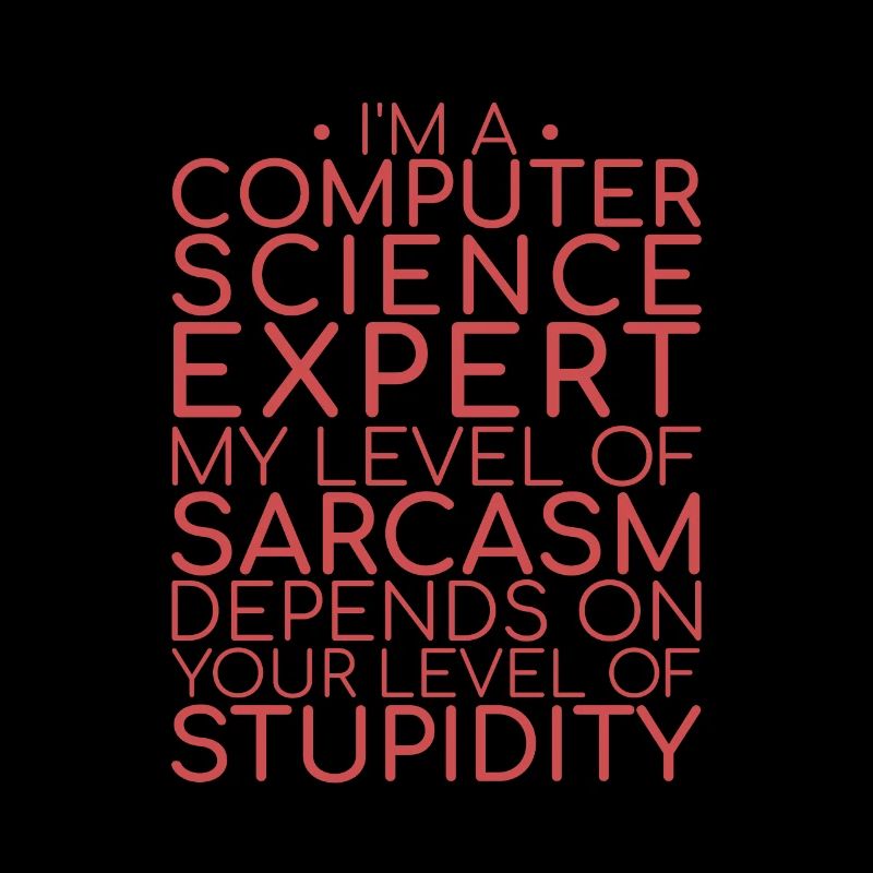 « Sarcasme d’expert en informatique | Informatique »