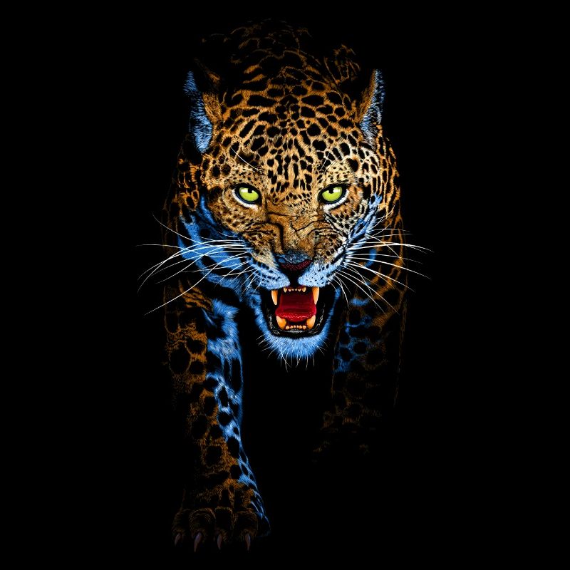 Whole realistic leopard