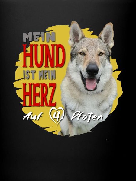 Tschechoslowakischer Wolfshund