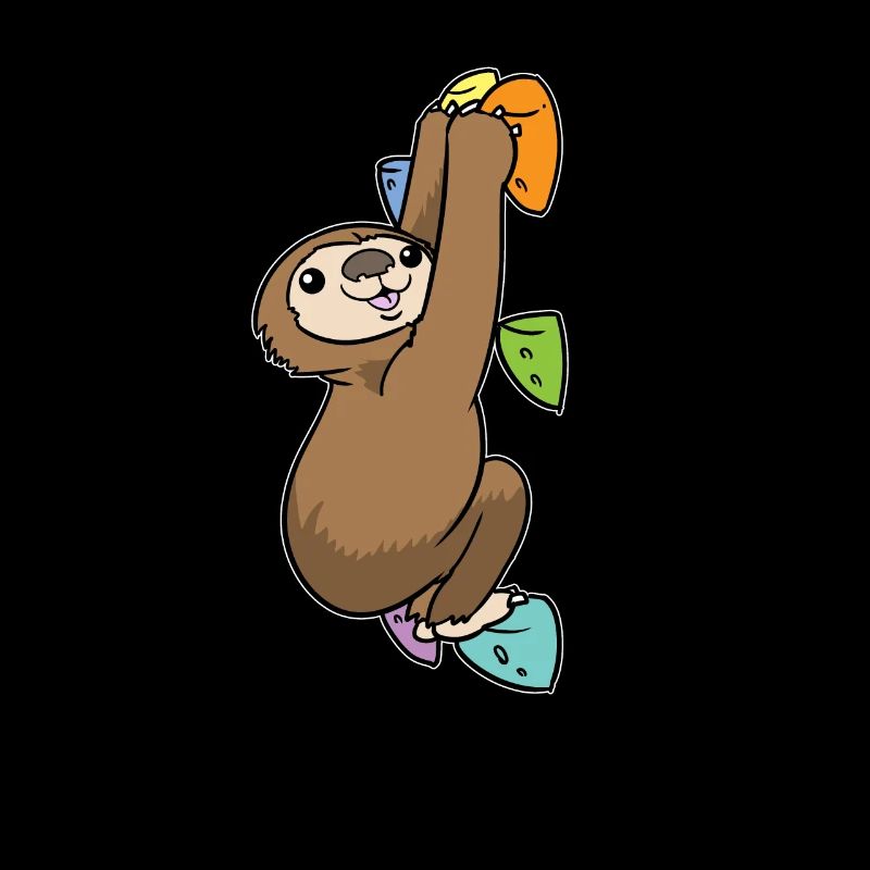 Sloth Bouldering Climbing Boulderer