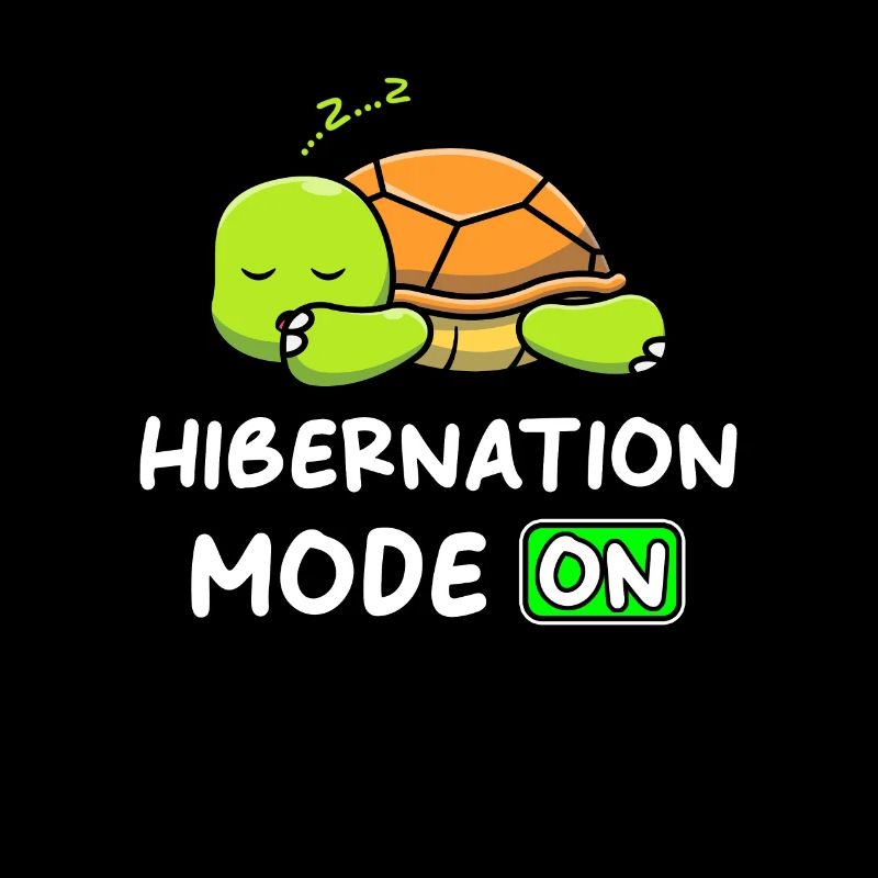 Mode hibernation An avec Turtle