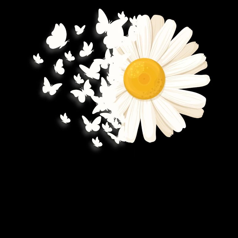 Marguerites Daisy Summer Daisies Jardin de fleurs