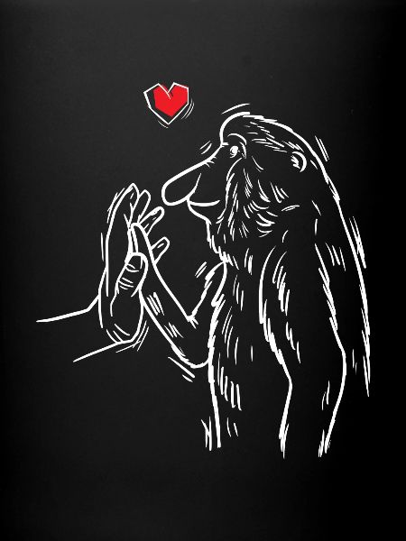 Proboscis Monkey Monkeys