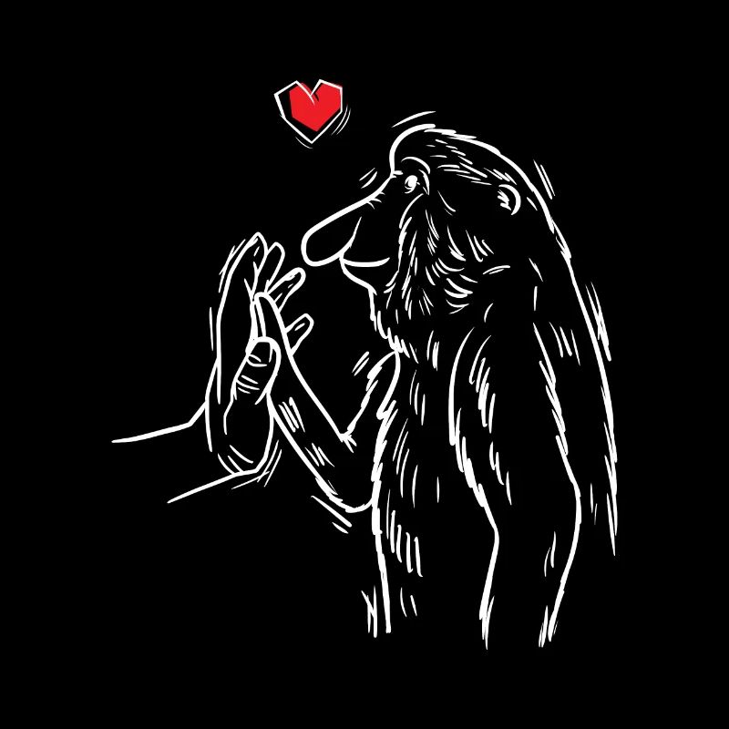 Proboscis Singes Singes