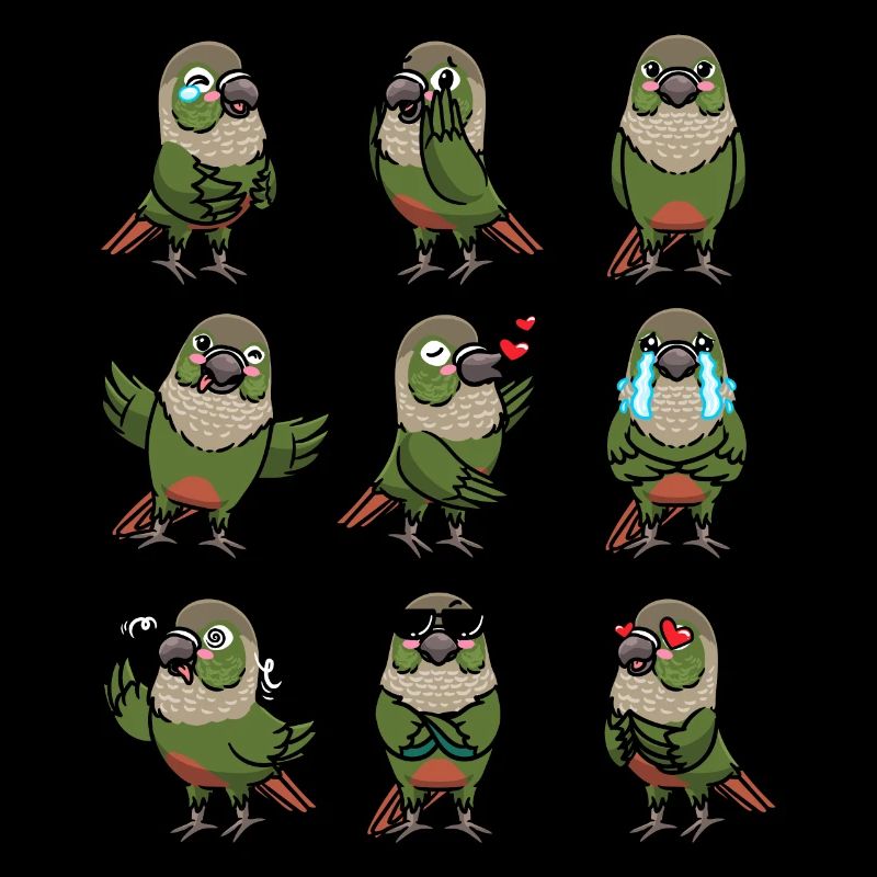 Molinasittich Perruche Perroquet Oiseau