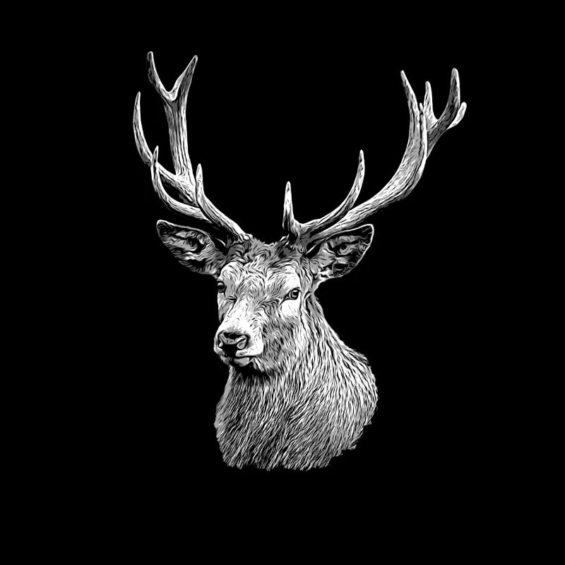 Deer's head