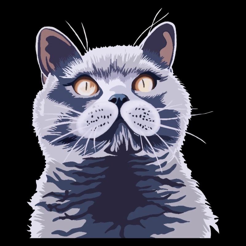 Britische kurzhaar Katze