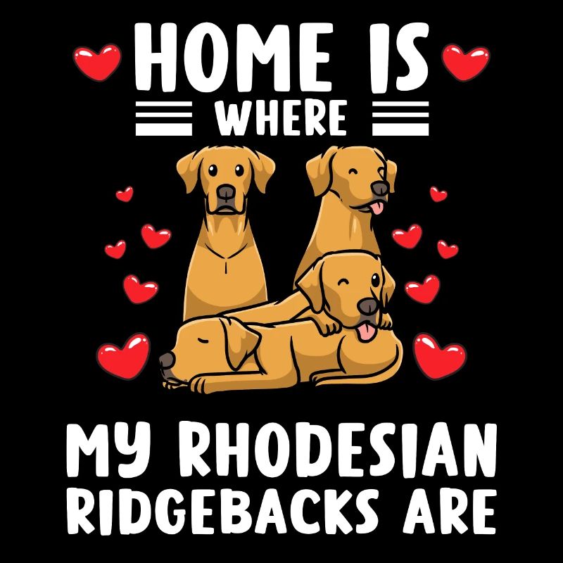 Rhodesian Ridgeback Hund