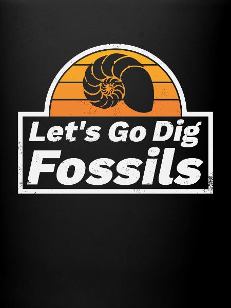 Fossilisation Ammonite Disant Rétro