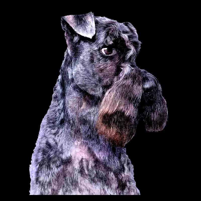 kerry blue terrier