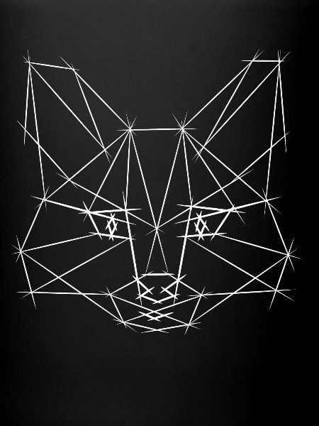 Esquisse Low Poly Fuchs