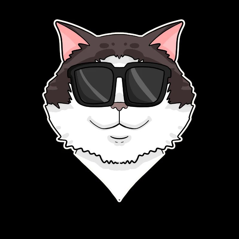 Ragdoll Katze