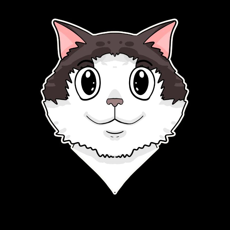Ragdoll Cat