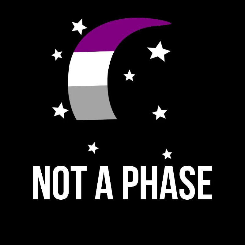 Not A Phase Asexual Pride LGBTQA Ace Flag