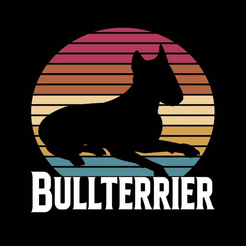 Bullterrier Hund