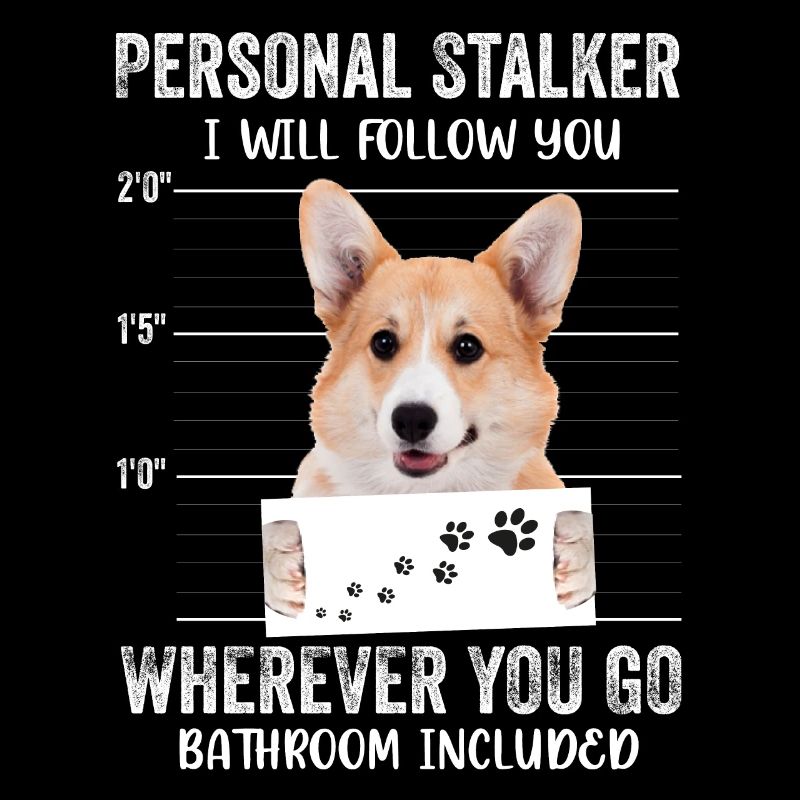 Persönlicher Stalker-Hund, Pembroke Welsh Corgi, Geschenk
