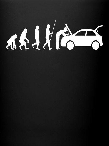 Auto mechanic Evolution