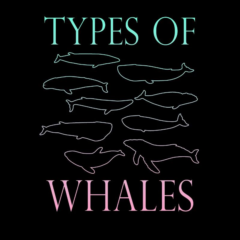 Types de baleines Whale Lovers Whales Espèces de baleines