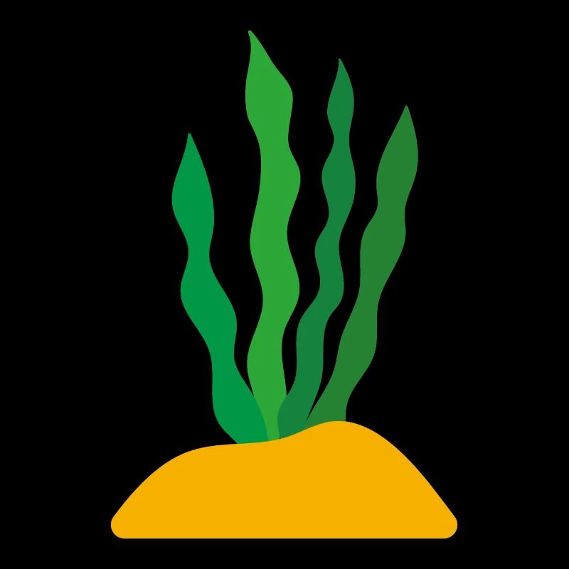 Plante - Idée cadeau