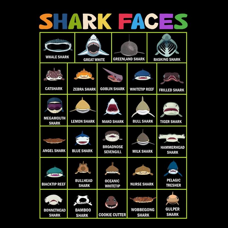 Types de visages de requin. Identification du visage du requin