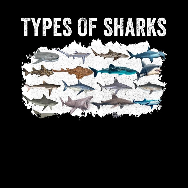 Types de requins