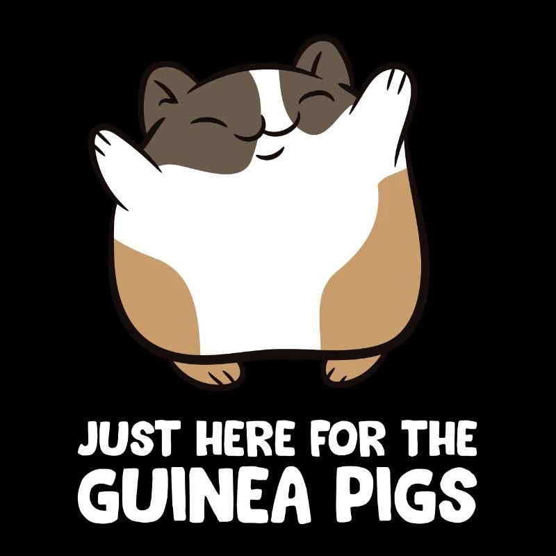 Cochons d'Inde - Just here for the guinea pigs