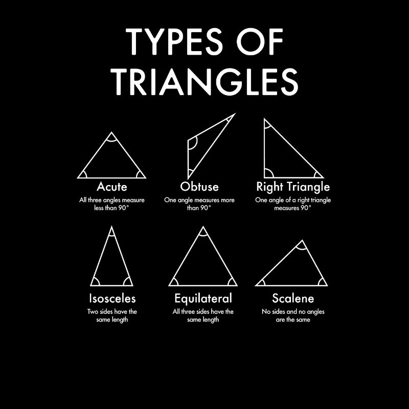 Types Of Triangles, Back To School Math Teacher