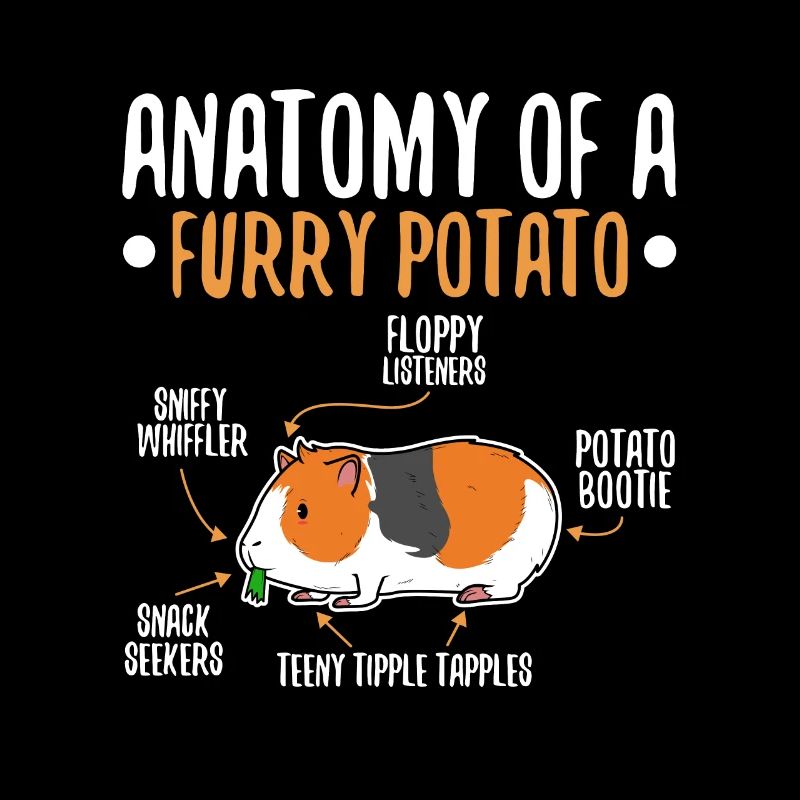 Anatomie d’une pomme de terre poilue
